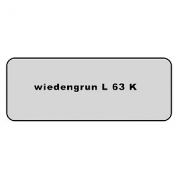 Aufkleber Farbcode L 63K weidengrun             1302  8.1971 - 7.1972